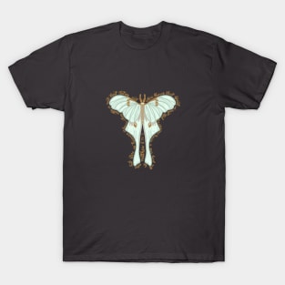 Matthew 6:20 - Store up treasures in heaven, bible verse moth illustration T-Shirt